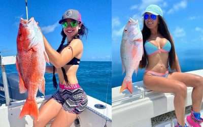 What Kind of Bait Do You Use to Catch SNAPPER in the Gulf of Mexico?